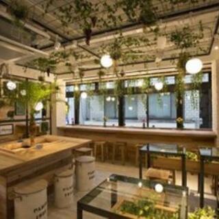 🌻8/20㈫19時〜/渋谷でカフェ会しまーす❗🌻