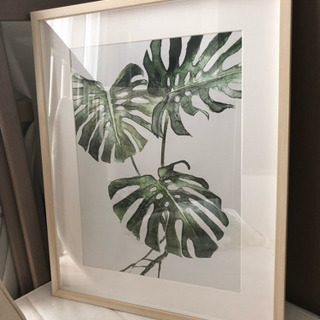 IKEA 額 水彩画  野菜／観葉植物