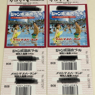 ナガシマ ジャンボ海水プール 大人2名 チケット