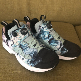 レア Reebok インスタポンプ 月面