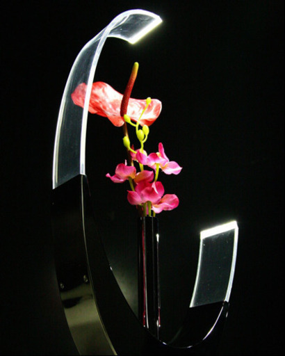 LED  FLOWER VASE