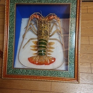 巨大エビのはく製？？　差し上げます