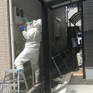 即日対応！最短30分で蜂の巣を駆除します。【株式会社便利屋和歌山】