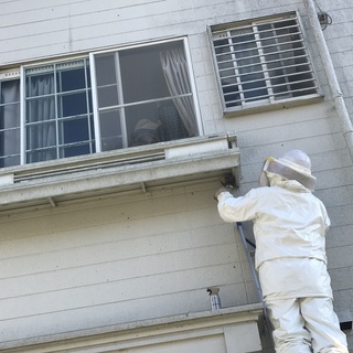 即日対応！最短30分で蜂の巣を駆除します。【株式会社便利屋和歌山】 - 害虫/害獣駆除