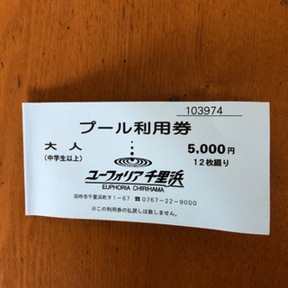 ユーフォリア千里浜 プール利用券 12枚綴り