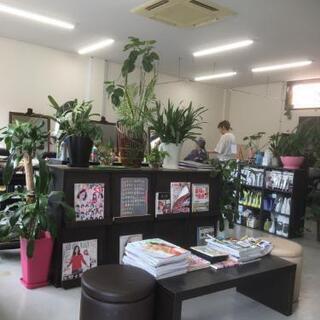 急募、美容師スタイリスト、アシスタントの画像