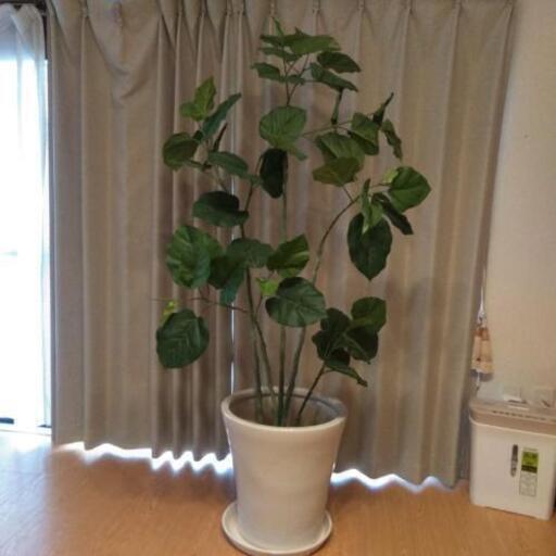 取引中　人工観葉植物