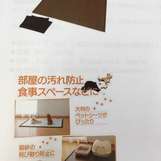 お譲りします！ ペット用 トイレトレー
