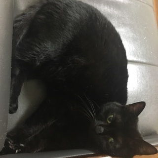 あまり時間が無いのですが、、、
