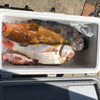 青森ボート釣り仲間募集 − 青森県