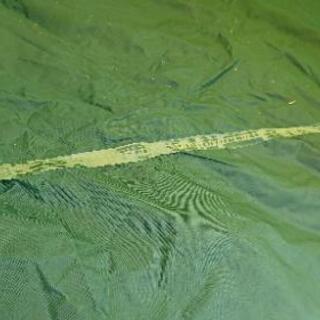 さかいや GORE-TEX テント レアな品ですの画像