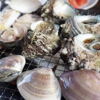 平塚公園で12時からバーベキューやります！ - その他