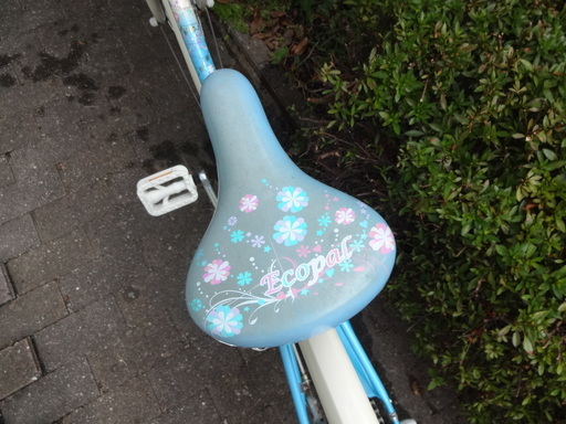 ブリヂストン/22インチ/子供用自転車/エコパル/ECOPAL/ブルー水色ブリジストン女の子用 愛知 引取