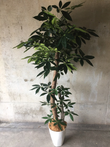 人工観葉植物 光触媒 パキラ183センチ