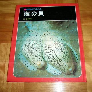 科学のアルバム 「海の貝 」