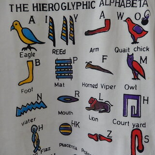 お土産Tシャツ（未使用）の画像