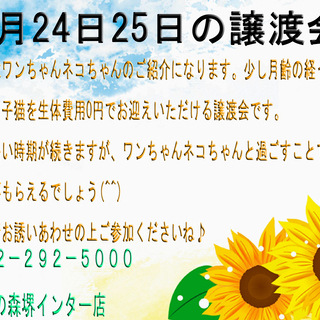 ２０１９年８月２４日２５日(イベント情報)