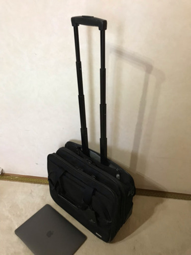 ACEGENE キャリーバック