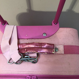 マリー キャリーバッグの画像