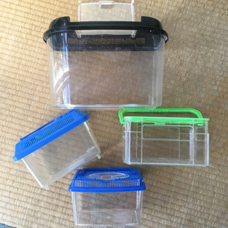 【差し上げます】中古 虫カゴ 飼育ケース4個の画像