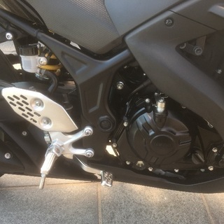 2017 YZF-R25 規制前36馬力の画像