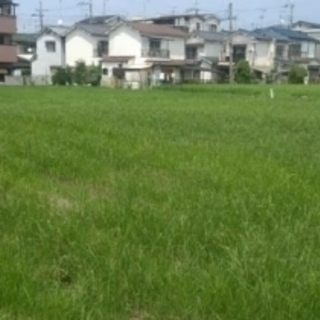 ★貸土地★    堺市美原区阿弥　800坪　#資材置き場　＃トラ...
