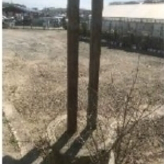 ★駐車場★    茨木市宿久庄　駐車場
