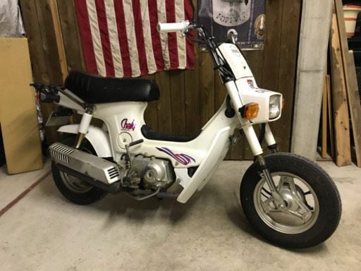 シャリー おばあちゃんワンオーナー車☆ベースに！！