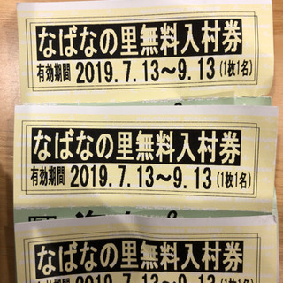 なばなの里 入村券