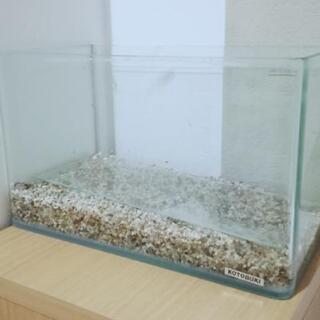 水槽セット 幅30cm