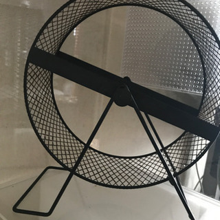 ハリネズミ アクリル ケージ 持ち運び