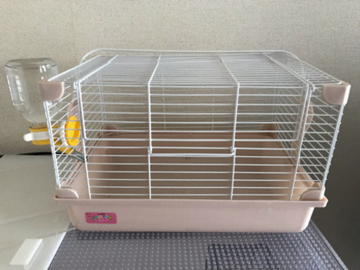 ハリネズミ アクリル ケージ 持ち運び