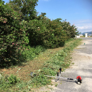 草刈り代行致します。 - 害虫/害獣駆除