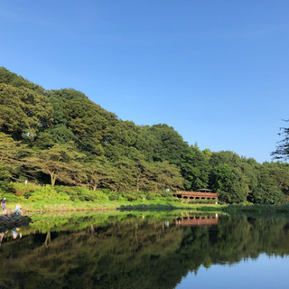 土日のカラオケ