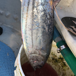 船釣り、釣り友達