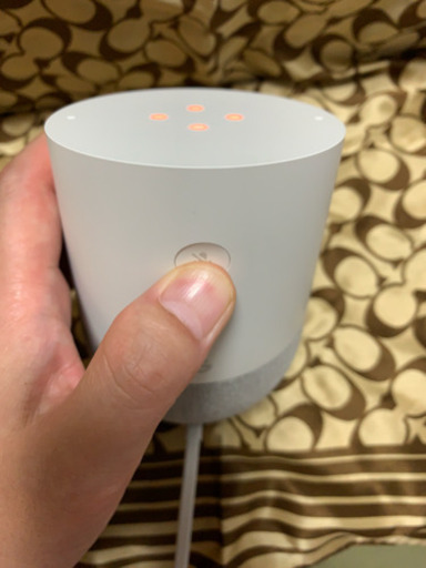 Google Home 『?google〜♪』愉快な友達？コンシェルジュ？