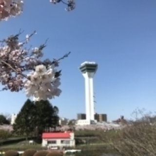 ★☆★シニアの友達募集★☆★