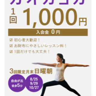 ガオカヨガ
