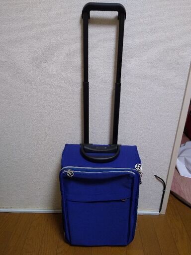 【21日午前中まで】キャリーバッグ