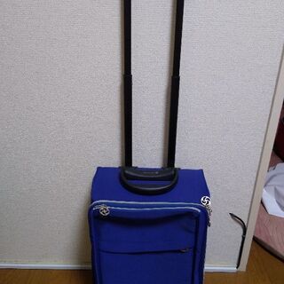 【21日午前中まで】キャリーバッグ