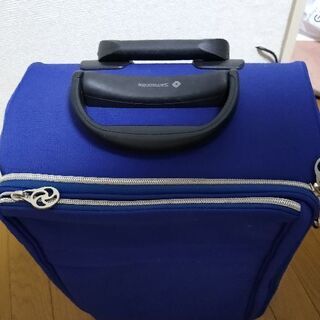 【21日午前中まで】キャリーバッグの画像