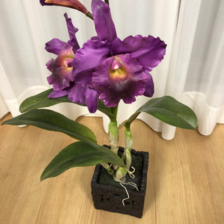 フェイクフワラー 造花 精巧 鉢植え イミテーション
