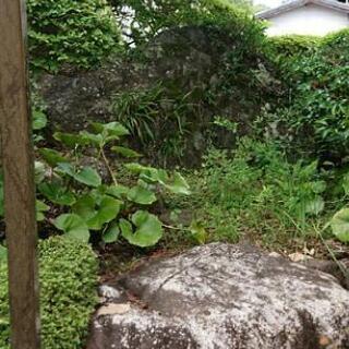庭石お譲りします（宮崎市）の画像