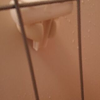 シャワーラックの画像