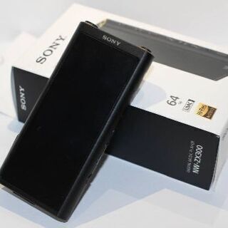 ソニー SONY NW-ZX300 ウォークマン ハイレゾ 美品