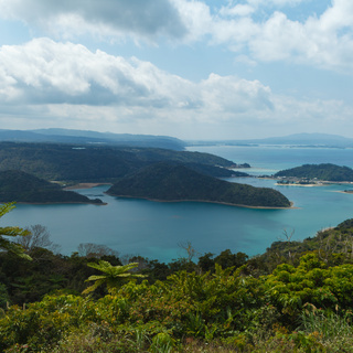 【沖縄本島】国内最安最短でRYT200が取得できるヨガインストラクター養成スクールの画像