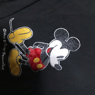 ディズニーのトレーナーの画像