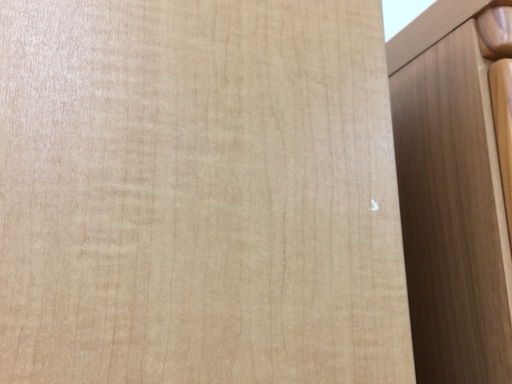 三栄家具　ワードローブ　【トレファク　岸和田】