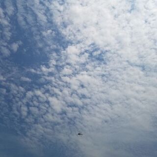 共感覚、HSP、自然、動物、絵を描く、物作り、挑戦したいことがあ...