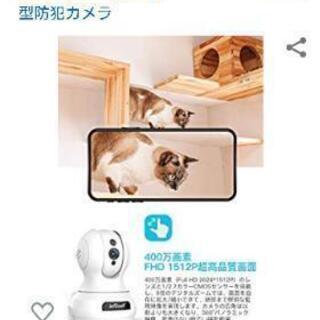 お値下げ致しましたの画像